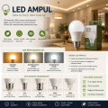 LED Ampuller