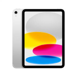 iPad A16 256GB Wi-Fi+Cellular 11''Liquid Retina Ekran iPadOS Tablet Silver
