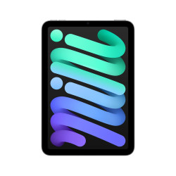 Ipad Mini 128GB WIFI 8.3''Liquid Retina Ekran iPadOS Tablet SpaceGray
