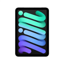 Ipad Mini 512GB WIFI+ Cellular 8.3''Liquid Retina Ekran iPadOS Tablet Space Grey
