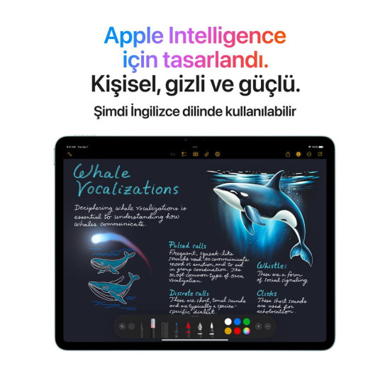 iPad Air M3 256GB WIFI+Cellular11''Liquid Retina Ekran iPadOS Tablet Space Gray